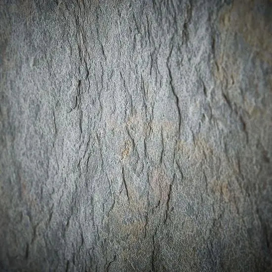 Stone Design Vinner Four Shelf and Two Door Jarrah Display.