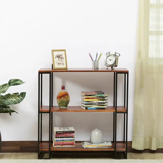 Solid Mango Wood and Metal Frame Two Shelf Beatle Bird Bookcase. This Bookcase looks o Classy.